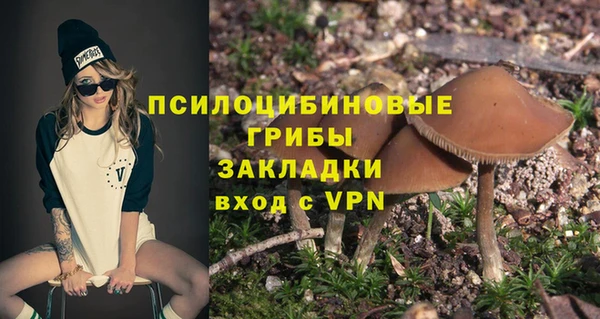 бошки Елизово