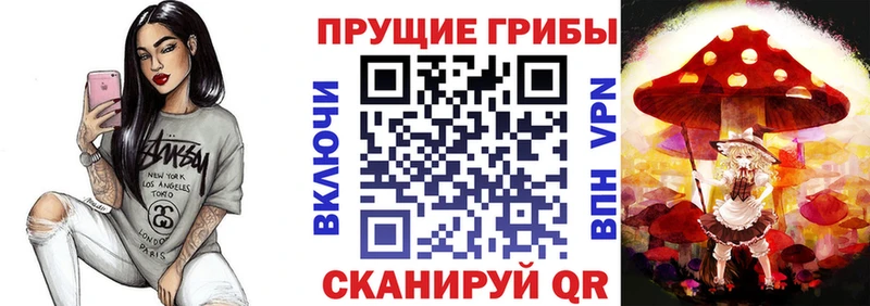 Псилоцибиновые грибы прущие грибы  Красавино 